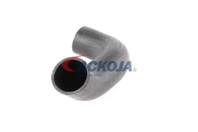 FURTUN EAR SUPRAALIMENTARE ACKOJA A380298 24