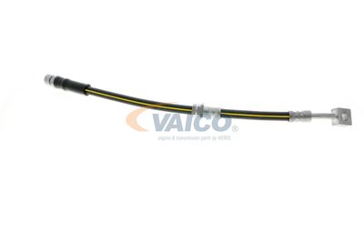 FURTUN FRANA VAICO V404110 42
