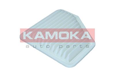 Air Filter F242101