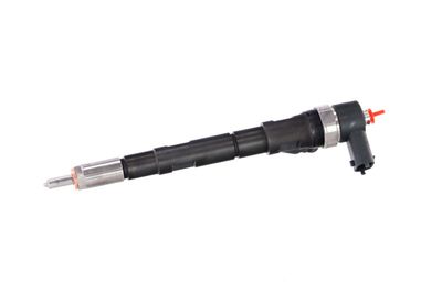 INJECTOR REMANTE 002003000018R 12