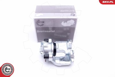 Brake Caliper 44SKV081