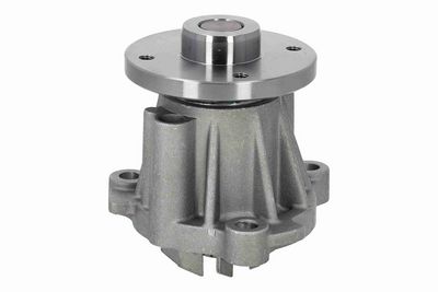 POMPă DE APă RăCIRE MOTOR ACKOJA A3850019 6