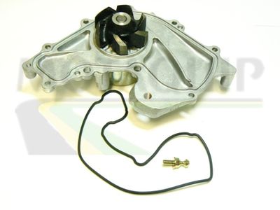 POMPă DE APă RăCIRE MOTOR MOTAQUIP VWP385 1