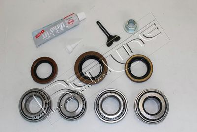 Ремкомплект, дифференциал RED-LINE 74SS004 для SSANGYONG REXTON