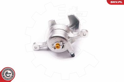 Brake Caliper 23SKV623