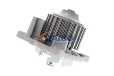 POMPă DE APă RăCIRE MOTOR VAICO V4850007 48