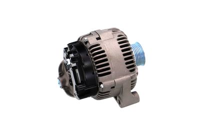 GENERATOR / ALTERNATOR REMANTE 011003000789R 39