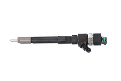 INJECTOR REMANTE 002003001322R 13