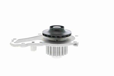 WASSERPUMPE MOTORKüHLUNG VAICO V2550006 2