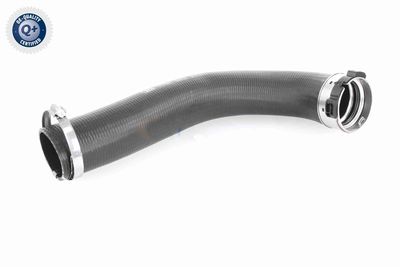 LADELUFTSCHLAUCH VAICO V460847 1