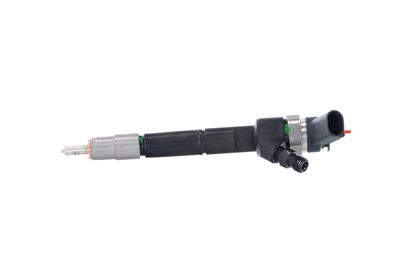 INJECTOR REMANTE 002003001040R 13
