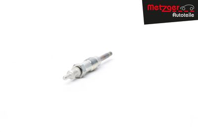 BUJIE INCANDESCENTA METZGER AUTOTEILE H1738 13