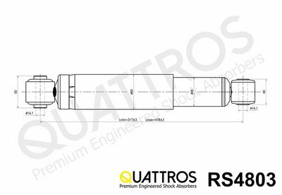 AMORTIZOR DAVID VASCO RS4803 1