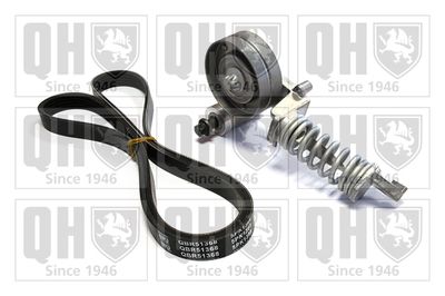 SET CUREA TRANSMISIE CU CANELURI