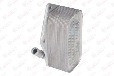 RADIATOR ULEI ULEI MOTOR BIRTH 80313 5