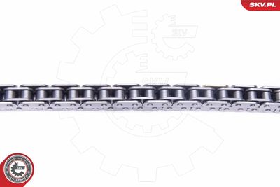 Timing Chain Kit 21SKV229