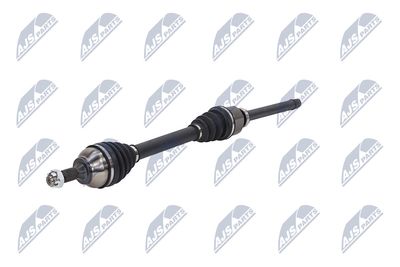 PLANETARA NTY NPWCT107 19