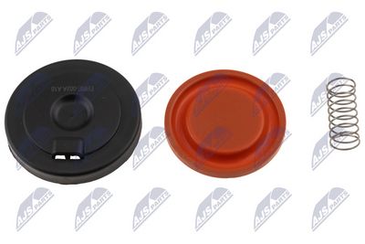 MEMBRANA AERISIRE CARCASA ARBORE COTIT