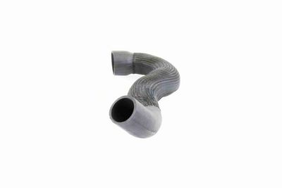 FURTUN EAR SUPRAALIMENTARE VAICO V103833 3