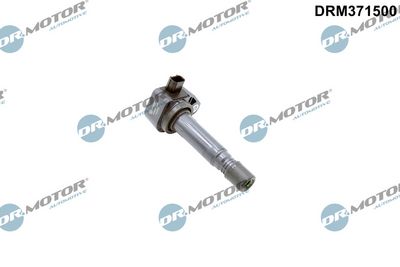 Dr.Motor Automotive Ritė, uždegimas