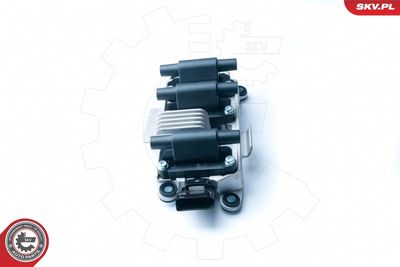 Ignition Coil 03SKV216