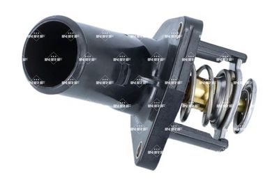 TERMOSTAT LICHID RACIRE NRF 725325 2