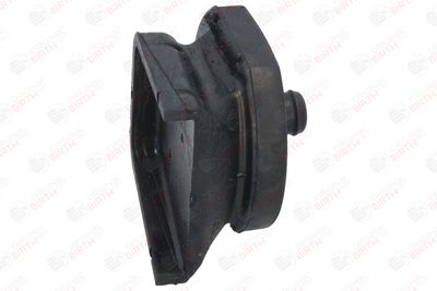 SUPORT MOTOR BIRTH 52601 10