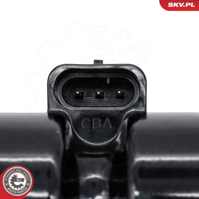 ESEN SKV Ritė, uždegimas