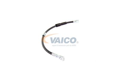 FURTUN FRANA VAICO V104138 44