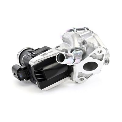 AGR-VENTIL DELPHI EG1043812B1 24