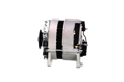 GENERATOR / ALTERNATOR REMANTE 011003000066R 12