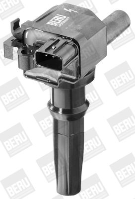 BOBINA DE INDUCTIE BorgWarner (BERU) ZSE502 2