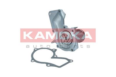 Water Pump, engine cooling T0127