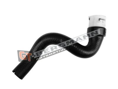 GT-BERGMANN Automotive Radiatoriaus žarna