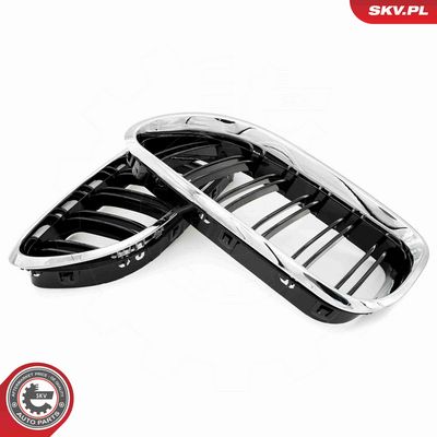 GRILA RADIATOR ESEN SKV 66SKV208 3