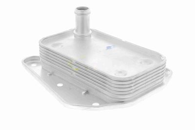 RADIATOR ULEI ULEI MOTOR VEMO V30601273 2