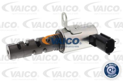 VVT-ventil VAICO V33-0073