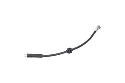 FURTUN FRANA Kavo Parts BBH1049 14