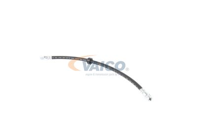 FURTUN FRANA VAICO V460285 15