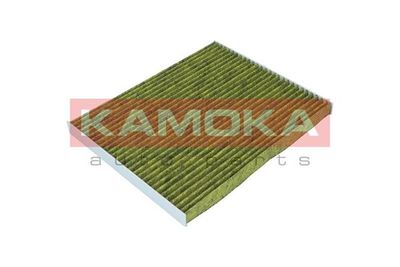 Filter, cabin air 6080039