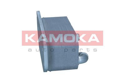 RADIATOR ULEI ULEI MOTOR KAMOKA 7730124 3