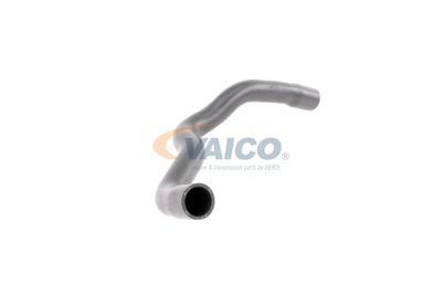 FURTUN RADIATOR VAICO V203246 51