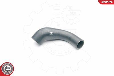 FURTUN EAR SUPRAALIMENTARE