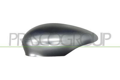 ACOPERIRE OGLINDA EXTERIOARA