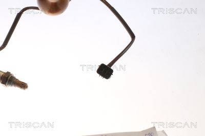 SONDA LAMBDA TRISCAN 884550034 1