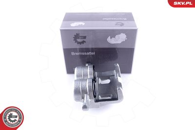 Brake Caliper 50SKV851