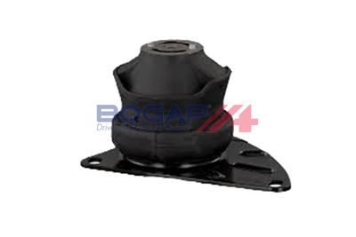 BOGAP Variklio montavimas
