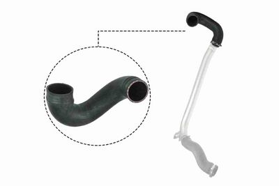 FURTUN EAR SUPRAALIMENTARE