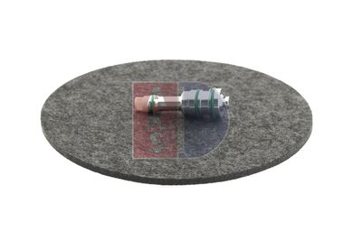 REGELVENTIL KOMPRESSOR AKS DASIS 859020N 15