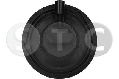 LUFTFEDER FAHRWERK STC T442980 6